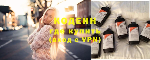 СК Волосово