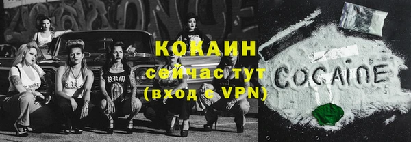 СК Волосово