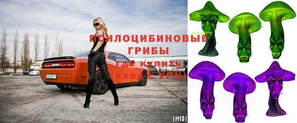 СК Волосово