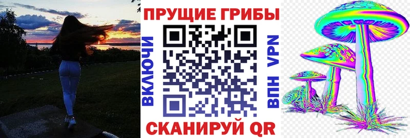 кракен вход  Качканар  Псилоцибиновые грибы прущие грибы 